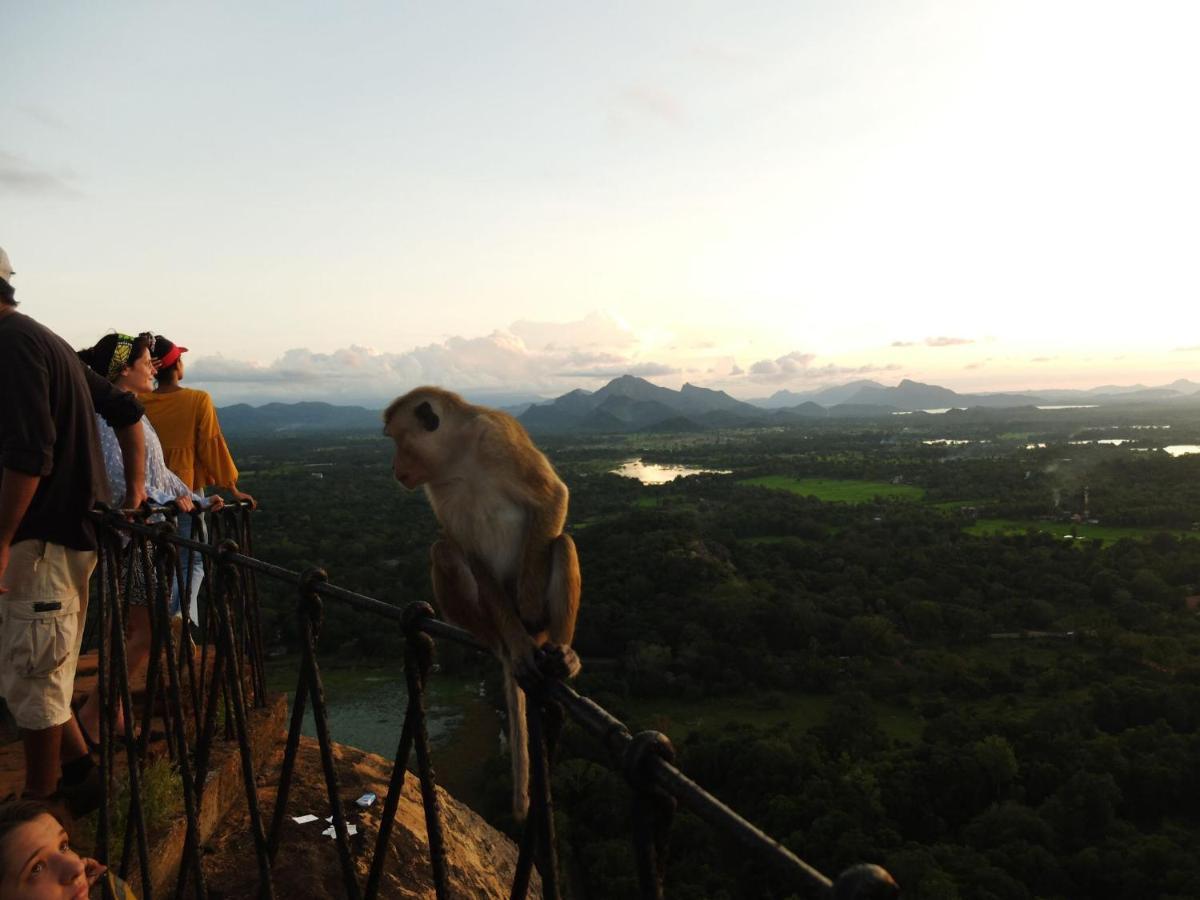 One More Night Hostel Sigiriya Eksteriør bilde