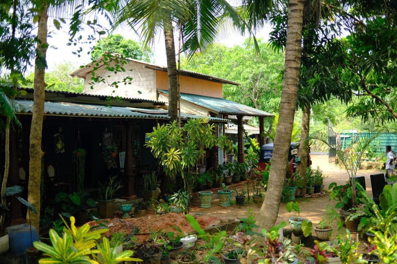 One More Night Hostel Sigiriya Eksteriør bilde