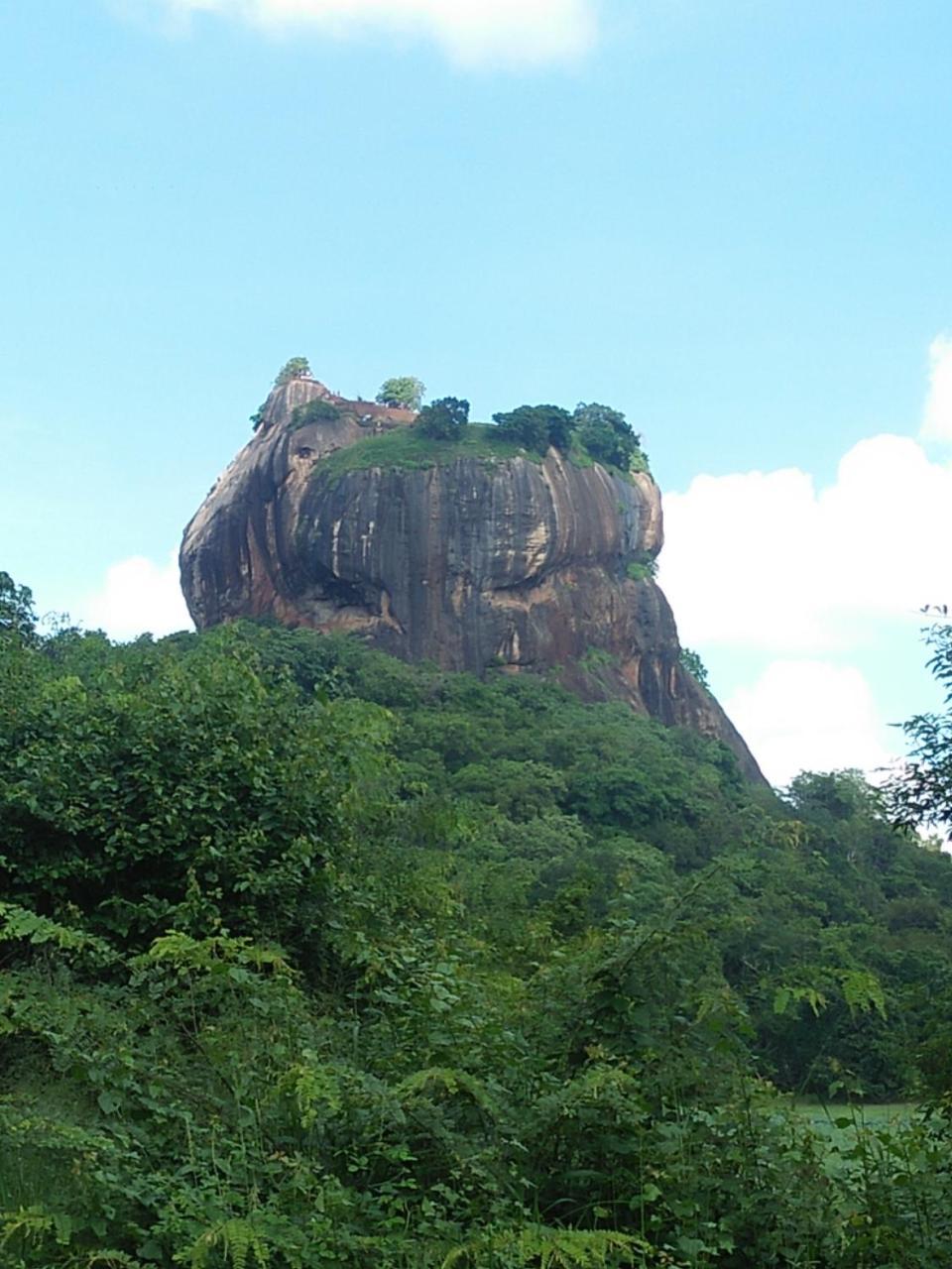 One More Night Hostel Sigiriya Eksteriør bilde